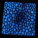 photoluminescent ceramic tile