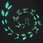 Glow in dark butterfly